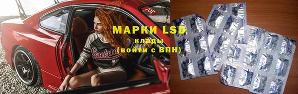 прущие крисы Тайга