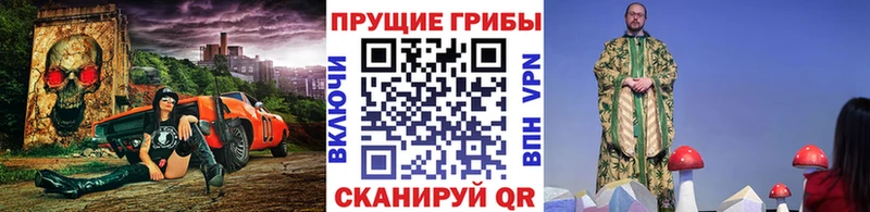 хочу наркоту  Гаврилов-Ям  Псилоцибиновые грибы прущие грибы 