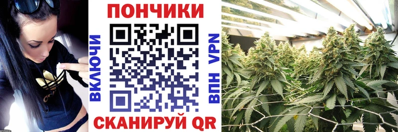 Шишки марихуана марихуана  блэк спрут ТОР  Гаврилов-Ям  наркота 